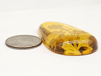 Amber Intaglio Cabochon | Hand-Carved Natural Amber