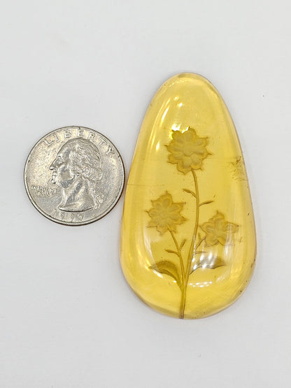 Amber Intaglio Cabochon | Hand-Carved Natural Amber