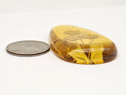 Amber Intaglio Cabochon | Hand-Carved Natural Amber