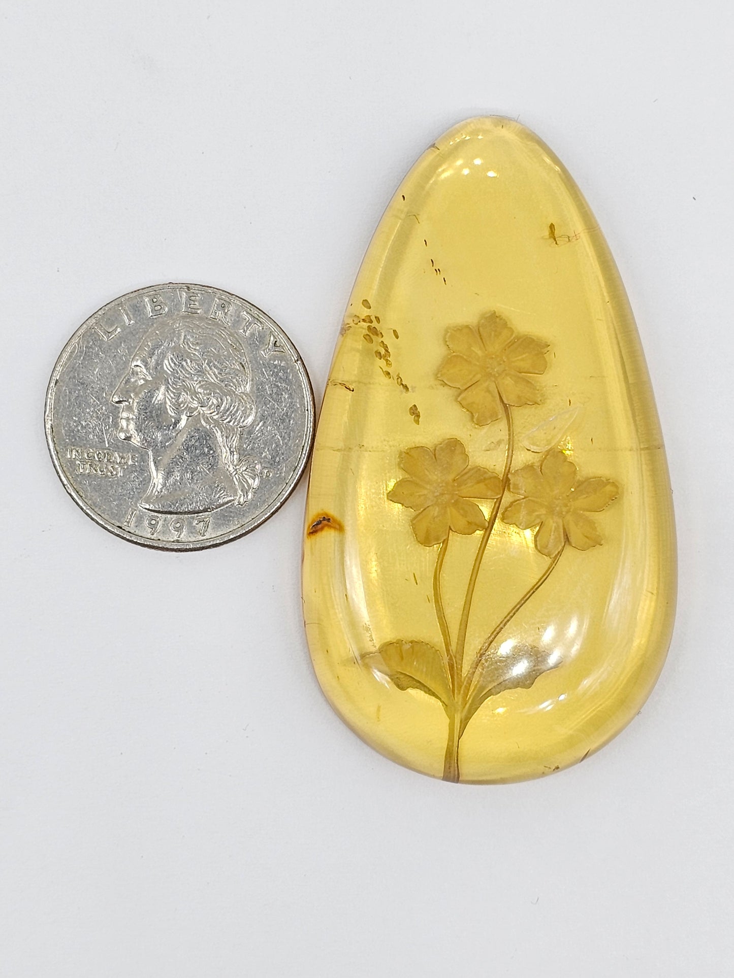 Amber Intaglio Cabochon | Hand-Carved Natural Amber