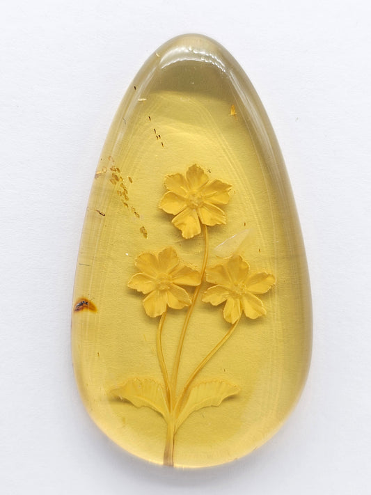 Amber Intaglio Cabochon | Hand-Carved Natural Amber