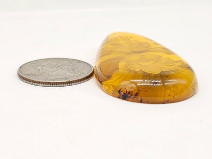 Amber Intaglio Cabochon | Hand-Carved Natural Amber