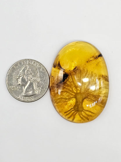 Amber Intaglio Cabochon | Hand-Carved Natural Amber