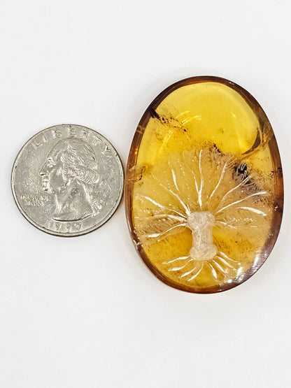 Amber Intaglio Cabochon | Hand-Carved Natural Amber