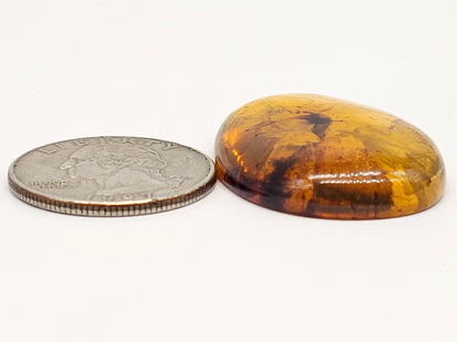 Amber Intaglio Cabochon | Hand-Carved Natural Amber