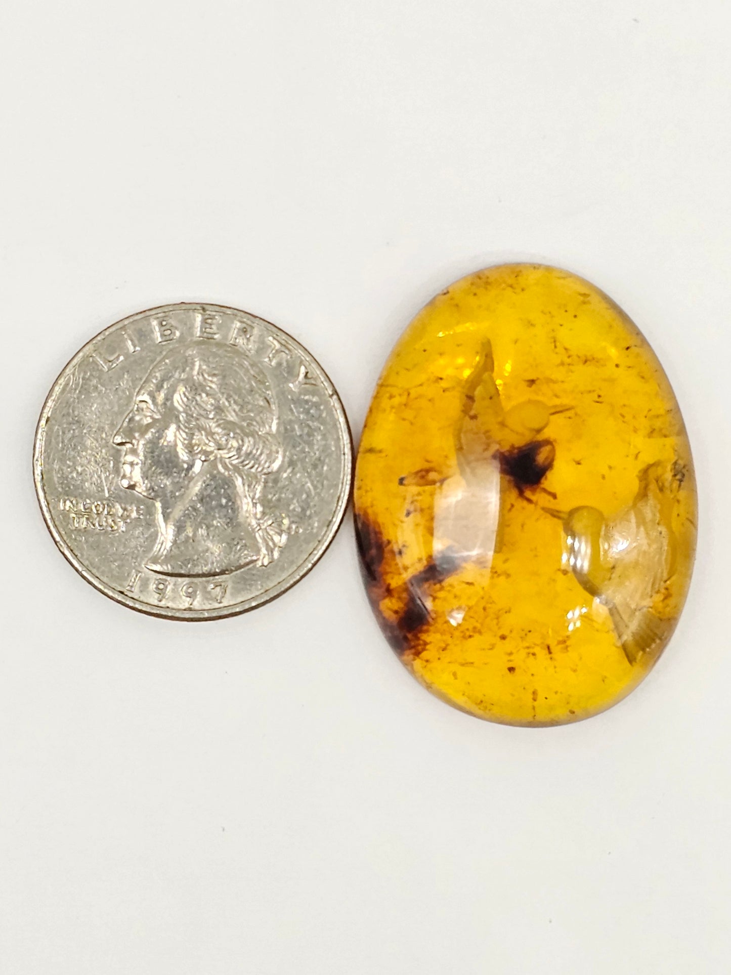 Amber Intaglio Cabochon | Hand-Carved Natural Amber