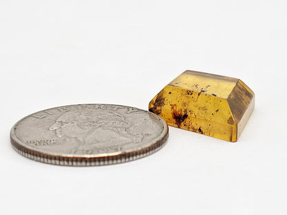 Amber Geometric Cabochon