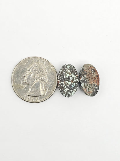 Rare Mexican Leopard Opal Cabochon Pair