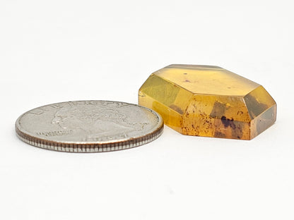Amber Geometric Cabochon