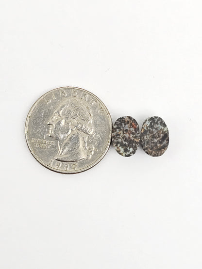 Rare Mexican Leopard Opal Cabochon Pair