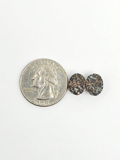 Rare Mexican Leopard Opal Cabochon Pair