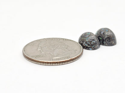 Rare Mexican Leopard Opal Cabochon Pair