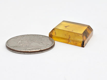 Amber Geometric Cabochon
