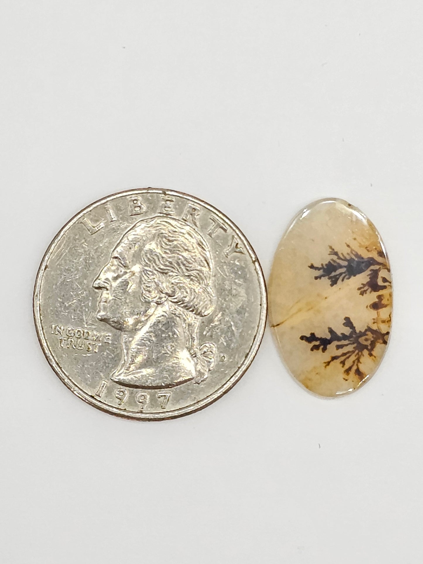 Scenic Dendritic Agate Cabochon – Natural Landscape Stone