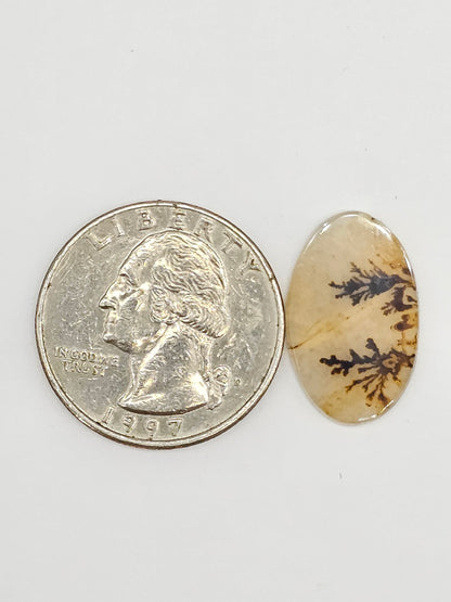 Scenic Dendritic Agate Cabochon – Natural Landscape Stone