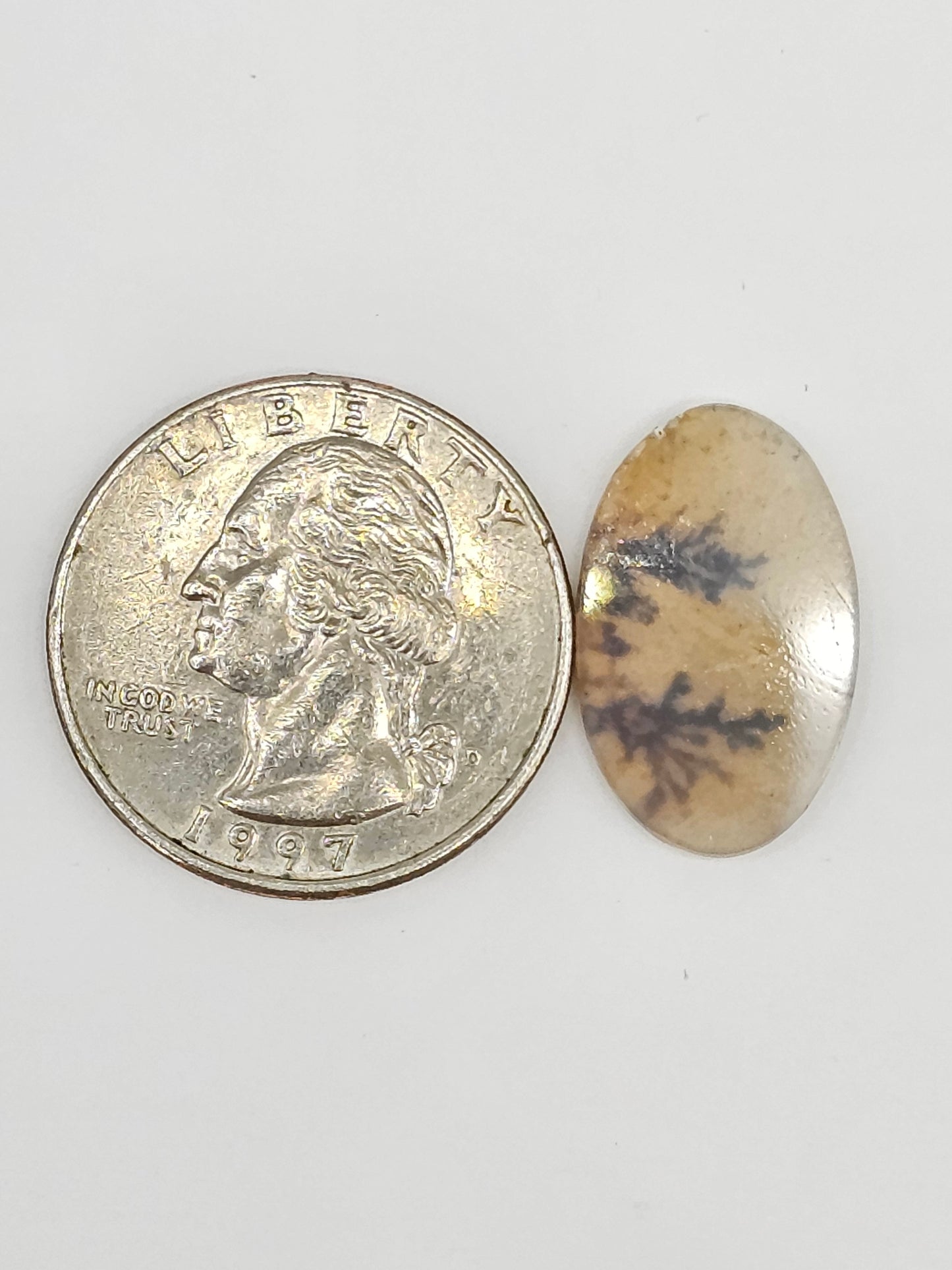 Scenic Dendritic Agate Cabochon – Natural Landscape Stone