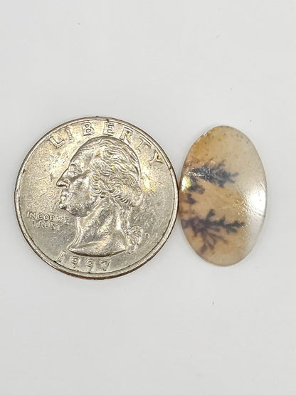 Scenic Dendritic Agate Cabochon – Natural Landscape Stone