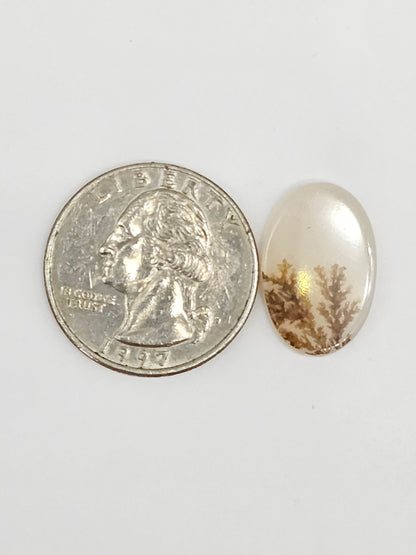 Scenic Dendritic Agate Cabochon – Natural Landscape Stone