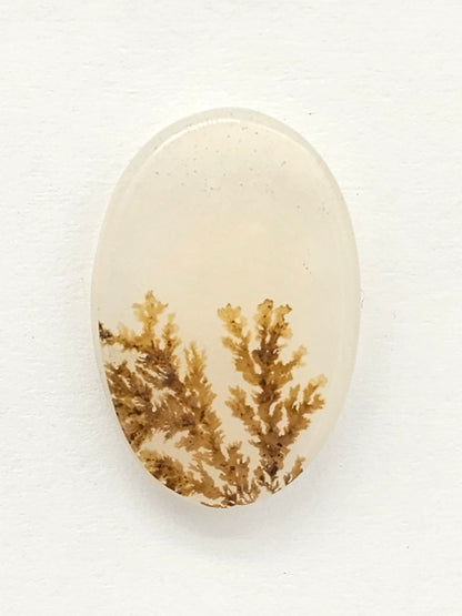 Scenic Dendritic Agate Cabochon – Natural Landscape Stone