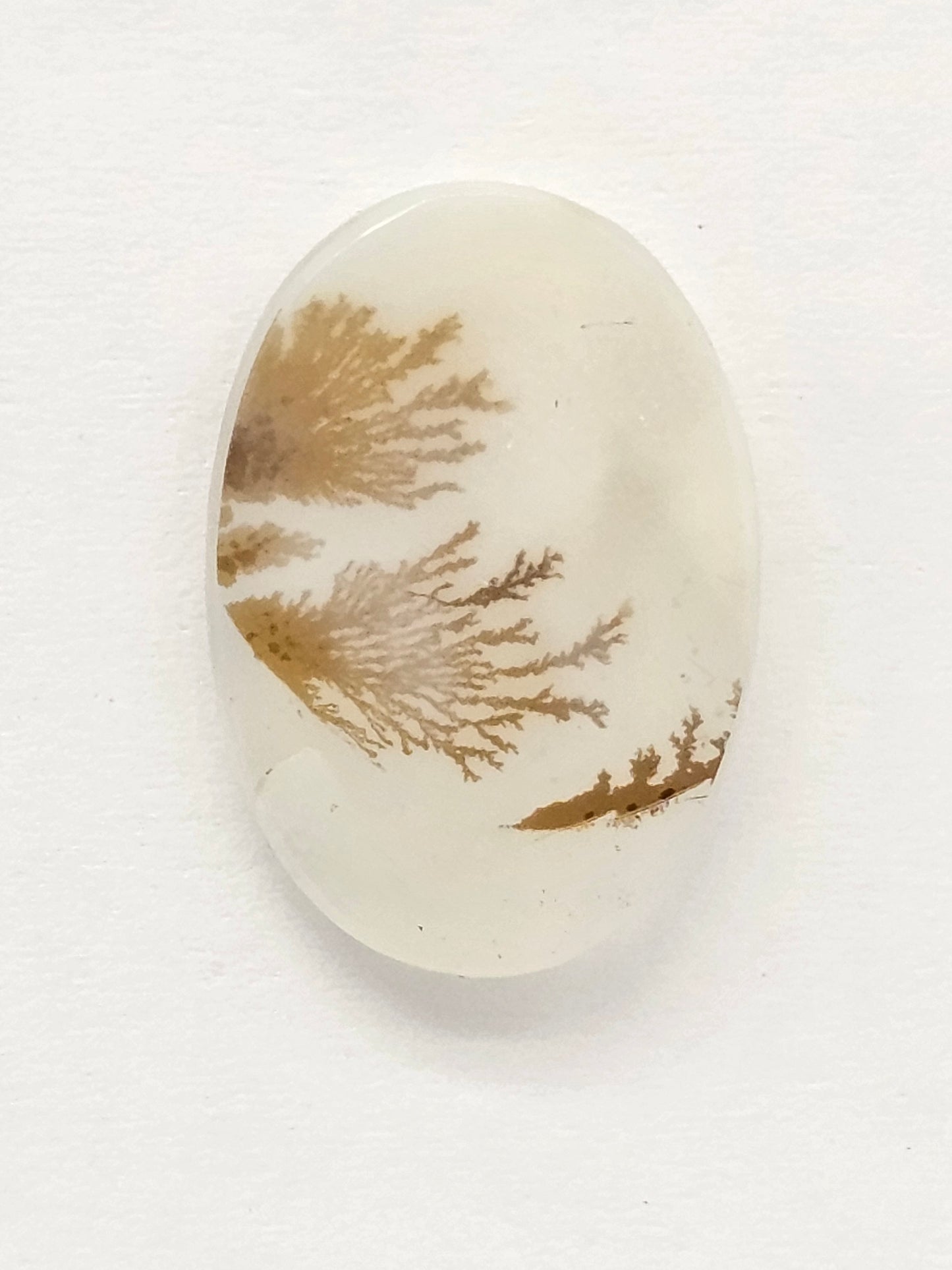Scenic Dendritic Agate Cabochon – Natural Landscape Stone