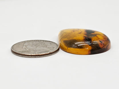 Amber cabochon | Artisan Cut Gemstone