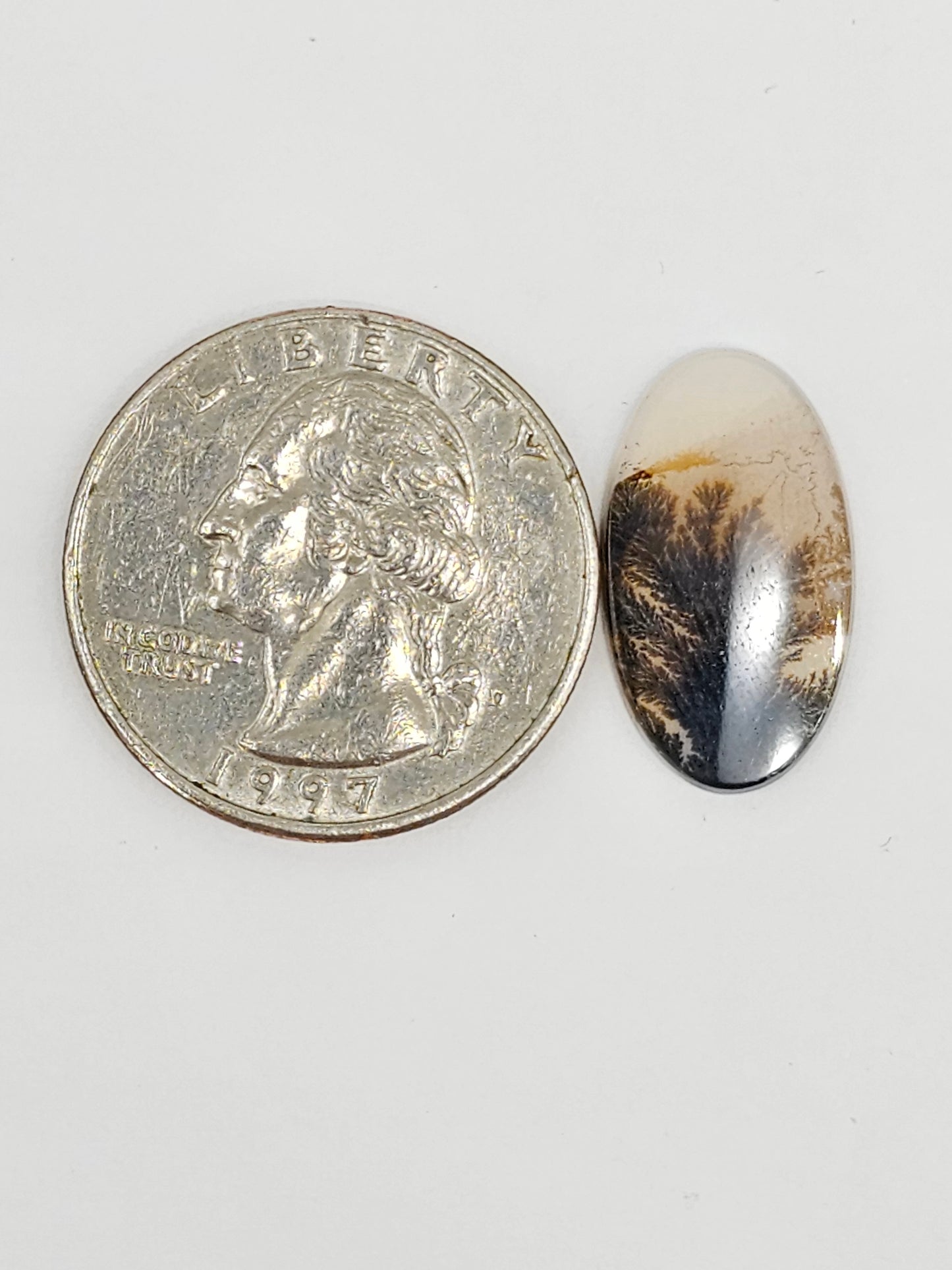 Scenic Dendritic Agate Cabochon – Natural Landscape Stone