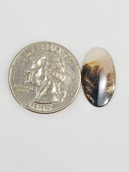 Scenic Dendritic Agate Cabochon – Natural Landscape Stone