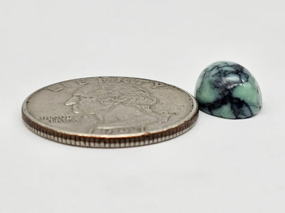 Variscite Cabochon | Natural Green Gemstone