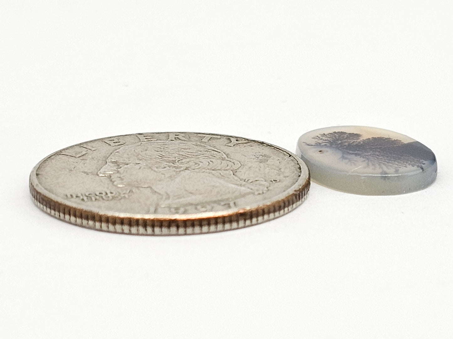 Scenic Dendritic Agate Cabochon – Natural Landscape Stone