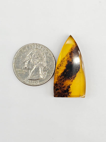 Amber cabochon | Artisan Cut Gemstone