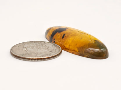 Amber cabochon | Artisan Cut Gemstone