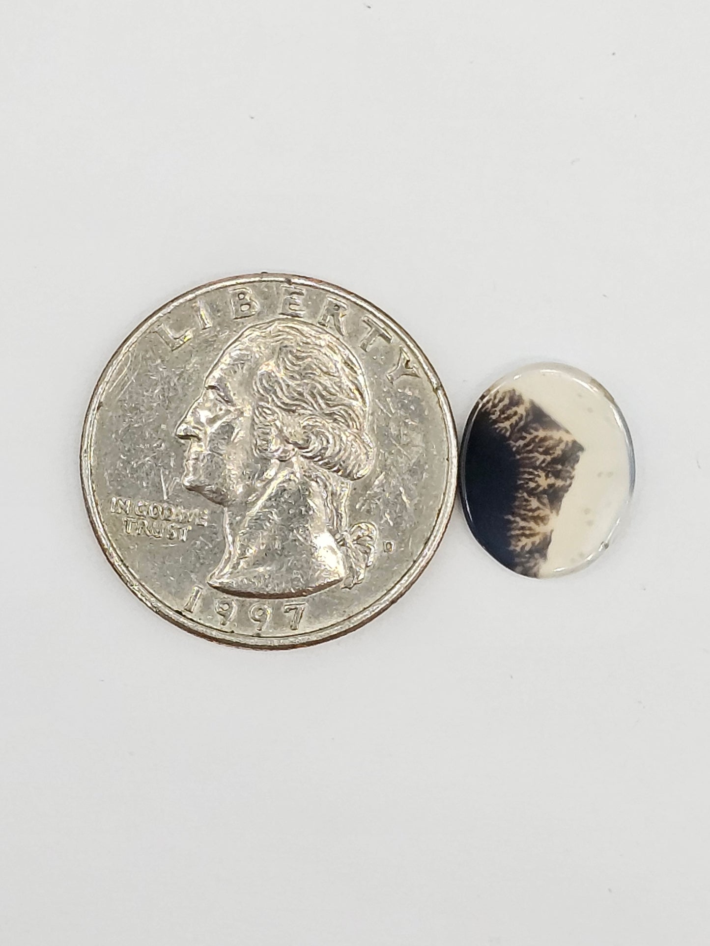Scenic Dendritic Agate Cabochon – Natural Landscape Stone