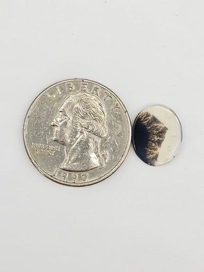 Scenic Dendritic Agate Cabochon – Natural Landscape Stone