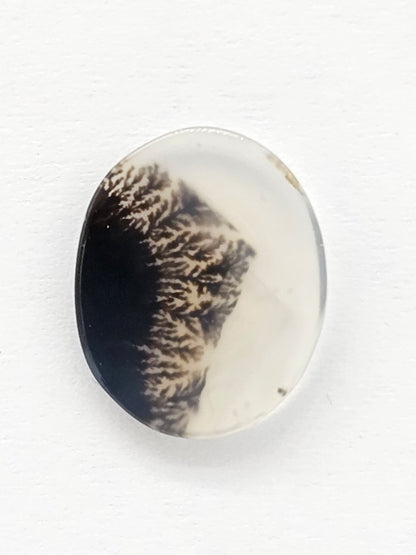 Scenic Dendritic Agate Cabochon – Natural Landscape Stone