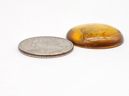 Amber cabochon | Artisan Cut Gemstone