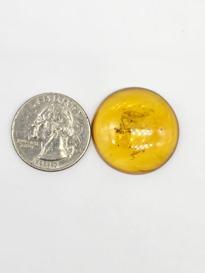 Amber cabochon | Artisan Cut Gemstone