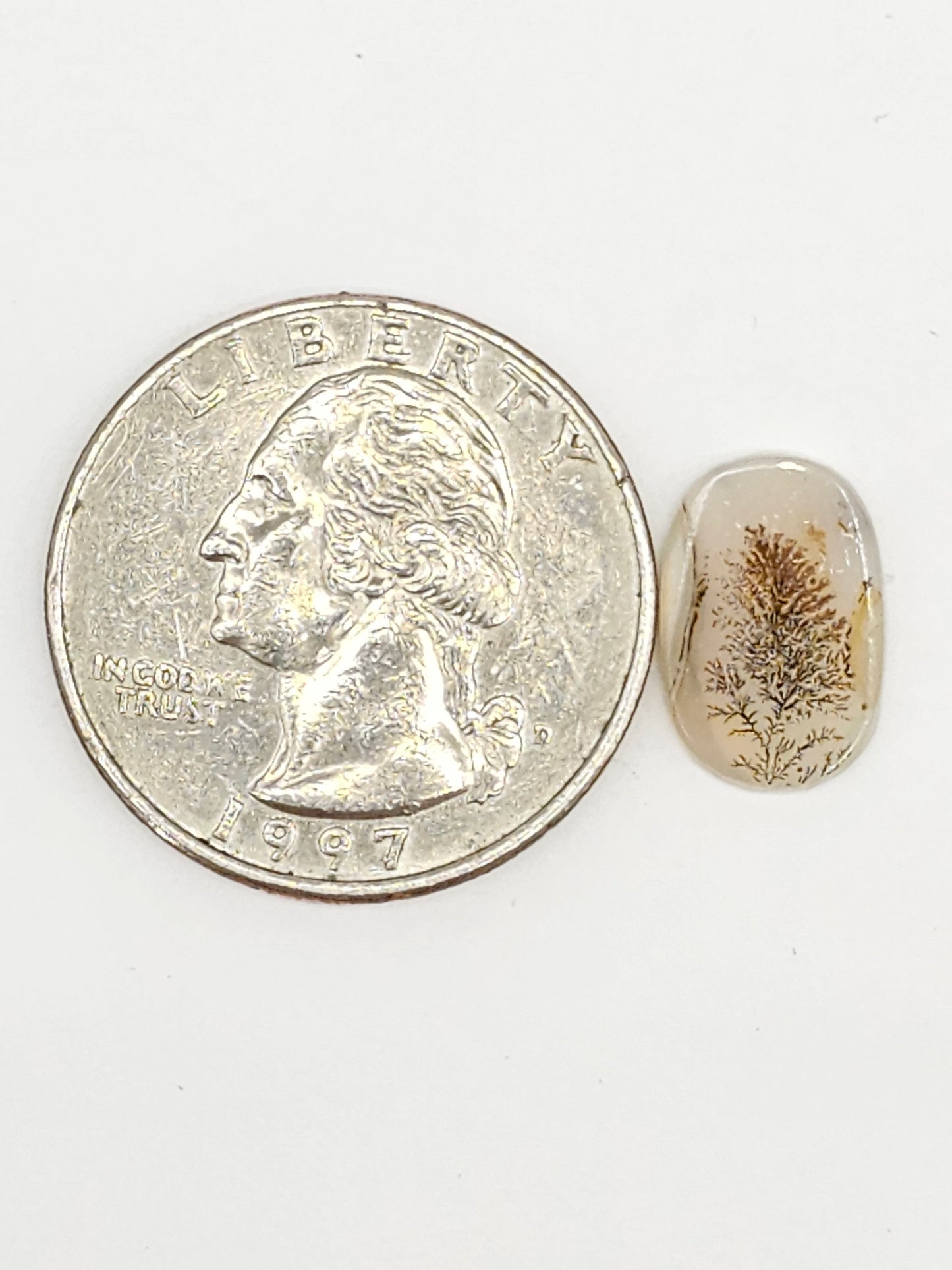 Scenic Dendritic Agate Cabochon – Natural Landscape Stone