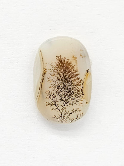 Scenic Dendritic Agate Cabochon – Natural Landscape Stone