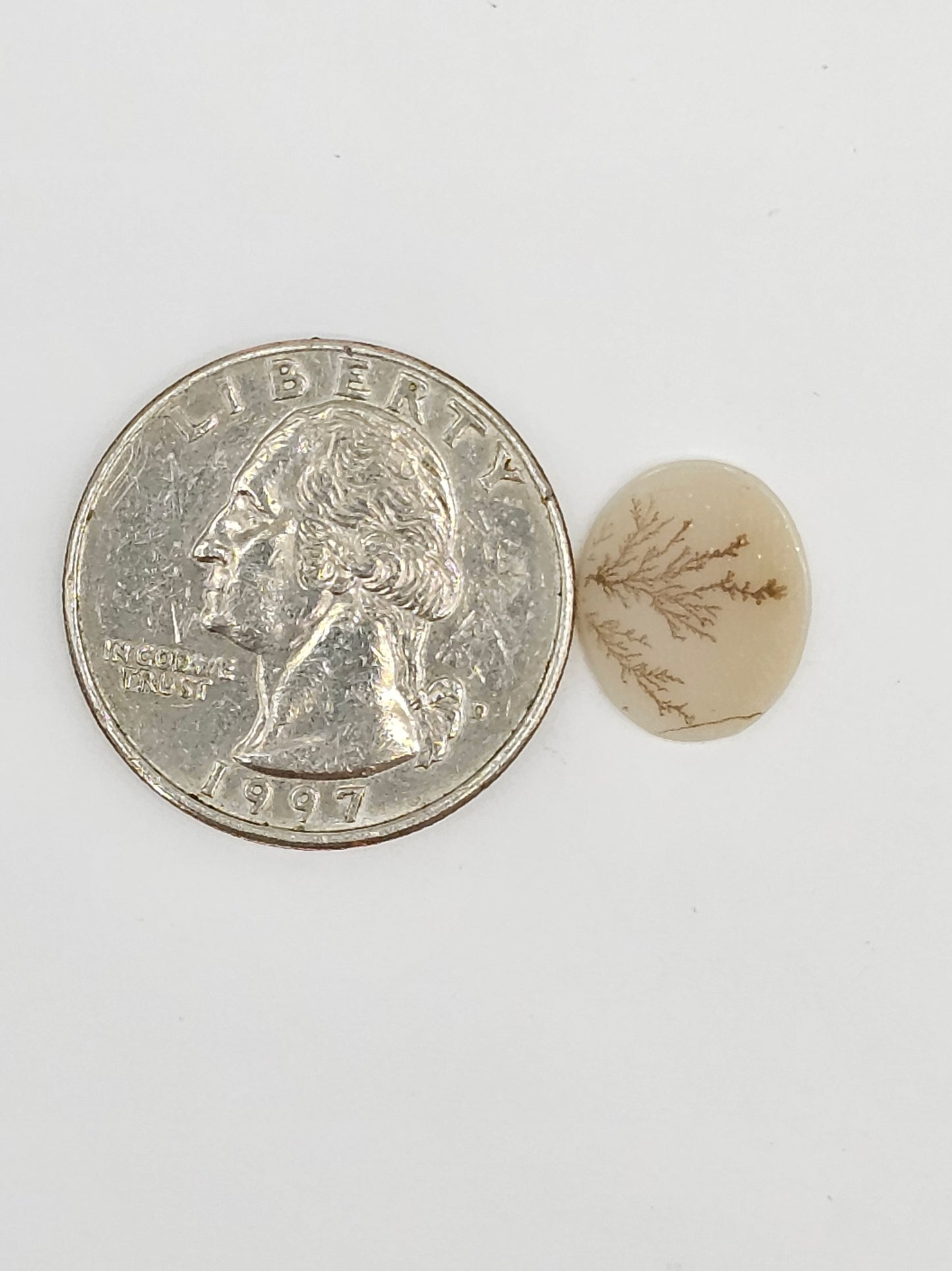 Scenic Dendritic Agate Cabochon – Natural Landscape Stone