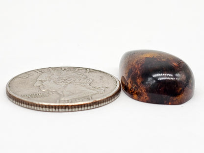 Amber cabochon | Artisan Cut Gemstone