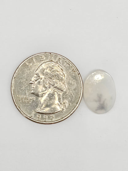 Scenic Dendritic Agate Cabochon – Natural Landscape Stone
