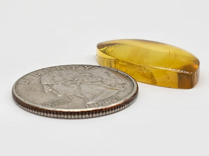 Amber cabochon | Artisan Cut Gemstone