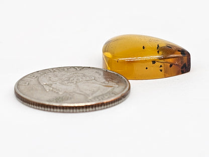 Amber cabochon | Artisan Cut Gemstone