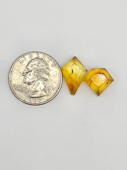 Amber Geometric Cabochon set