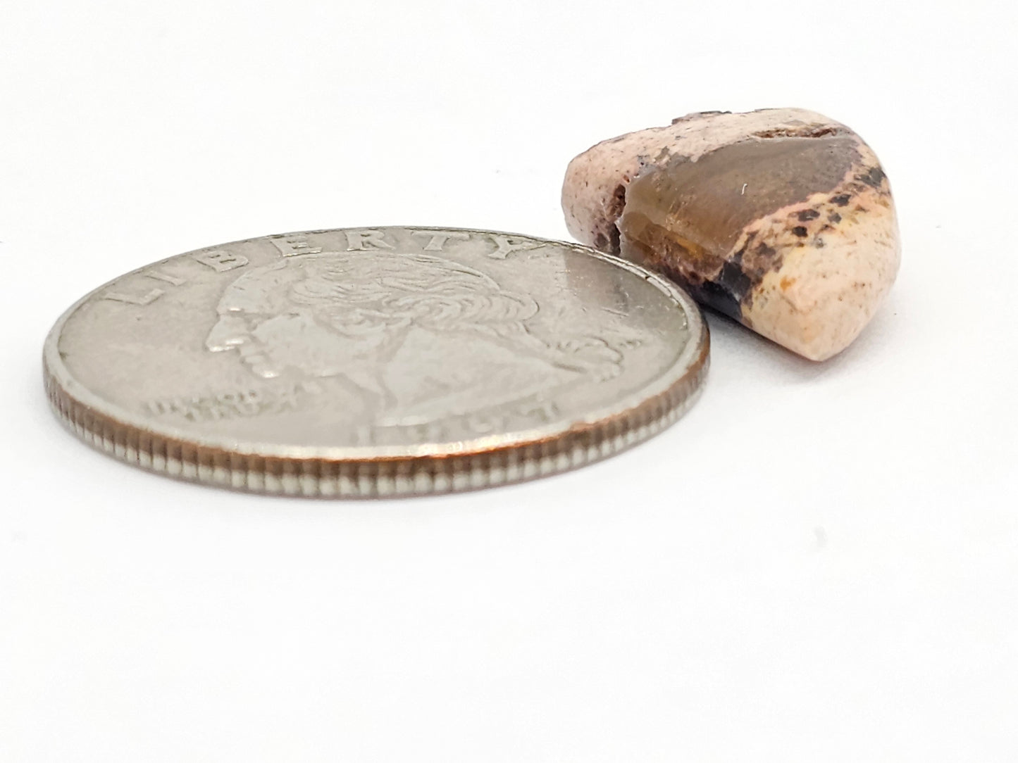 Mexican Cantera Opal Cabochon | Natural Opal from Mexico