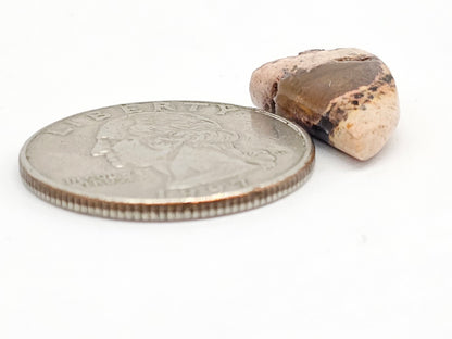 Mexican Cantera Opal Cabochon | Natural Opal from Mexico