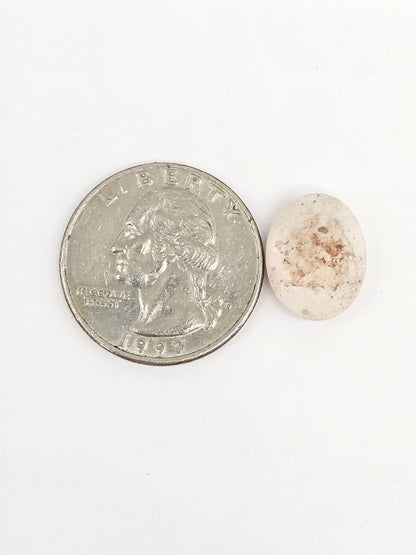 Mexican Cantera Opal Cabochon | Natural Opal from Mexico