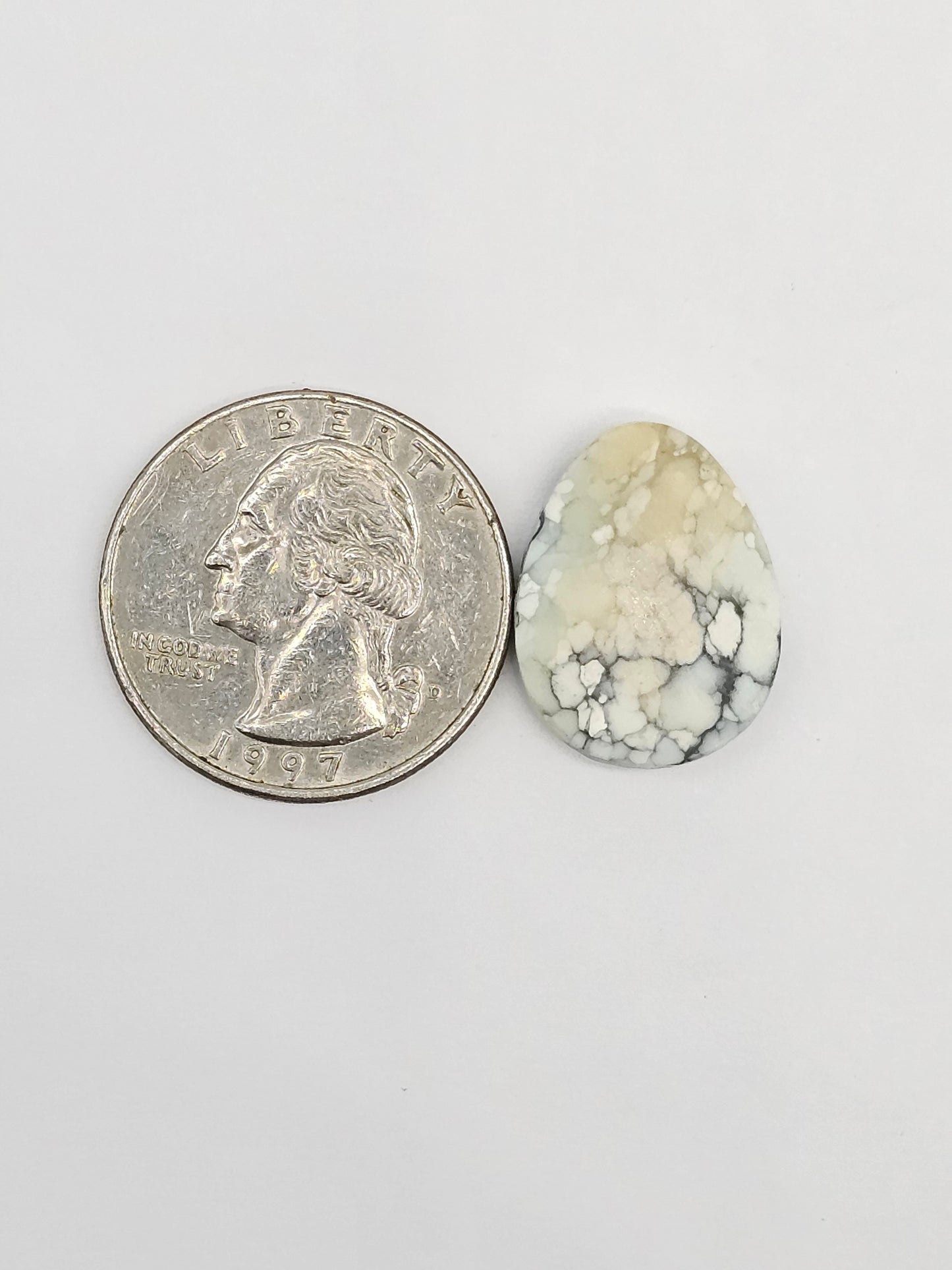Dark Moon Variscite Cabochon