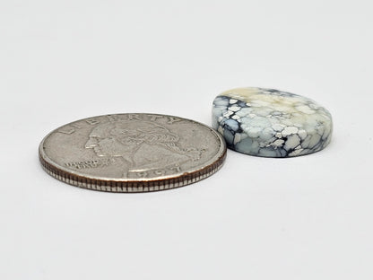 Dark Moon Variscite Cabochon