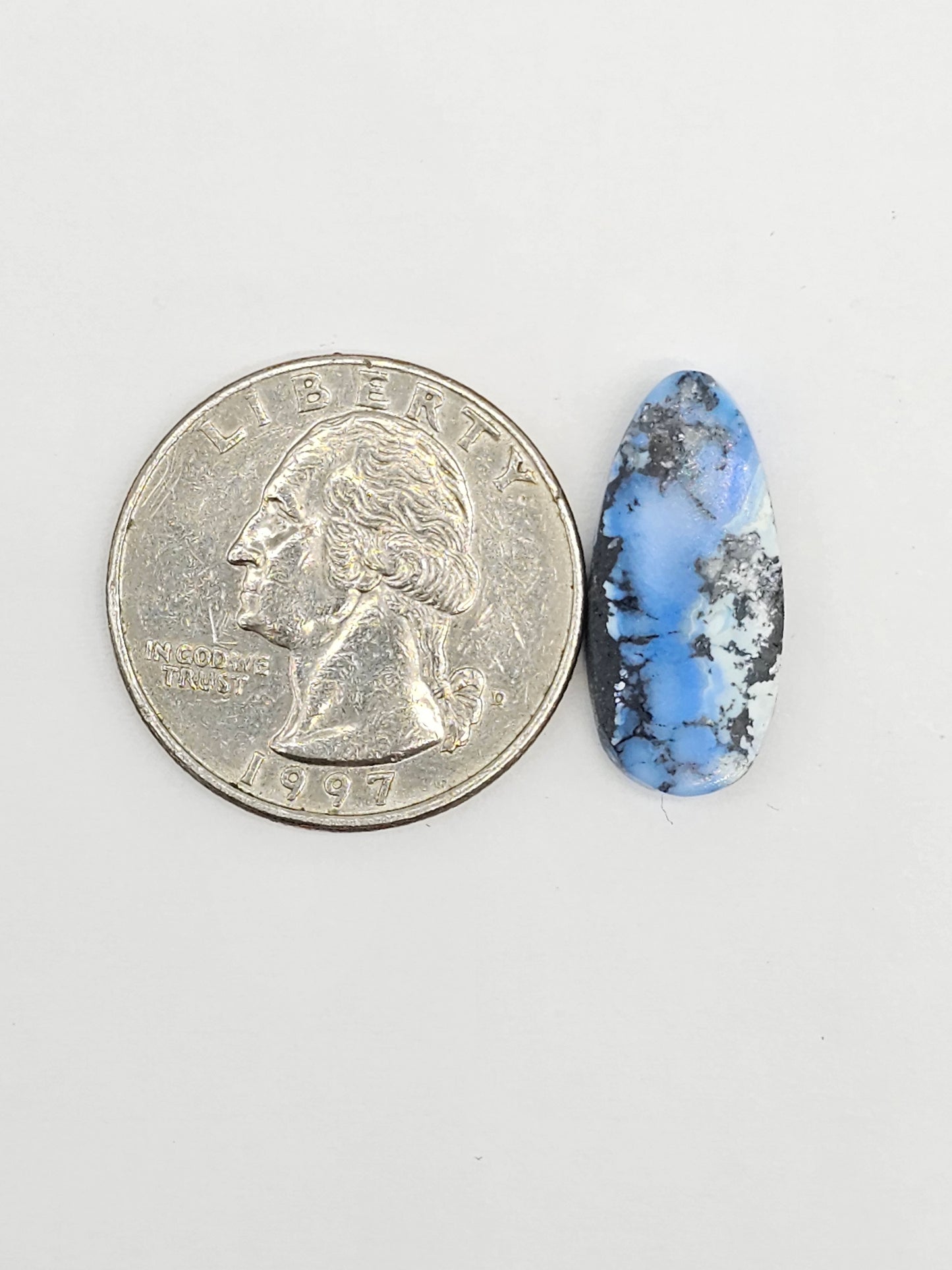 Dark Moon Variscite Cabochon